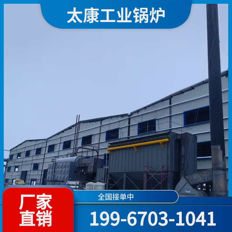 丽水燃煤导热油锅炉