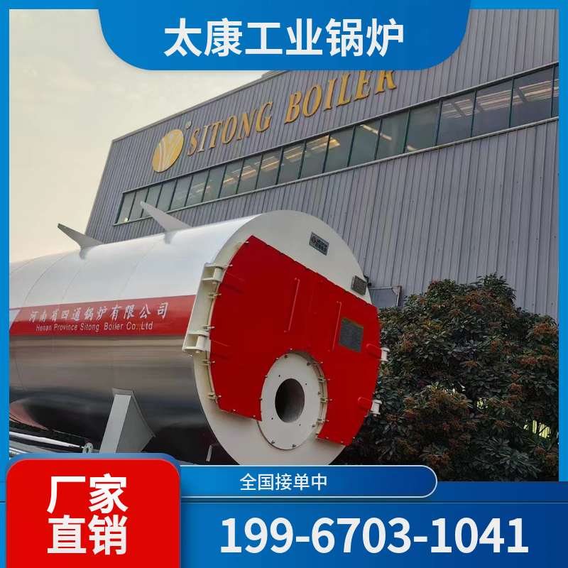 丽水燃煤热水锅炉
